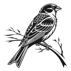finch sihouette black vector 