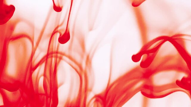 Abstract video with vibrant colors flowing with colored inks dispersed in water. The composition consists of shades of blue, red, green and yellow blending and swirling on a light background, creating