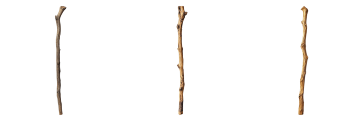 Cedar walking stick isolated on transparent background. PNG ,Set of