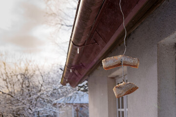 Bird feeders hung on the building for feeding birds in winter