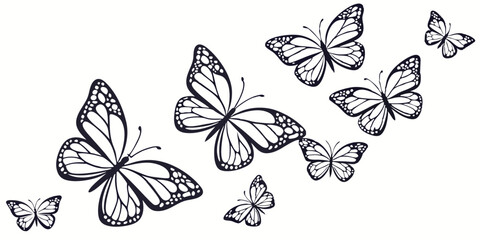 butterfly silhouette