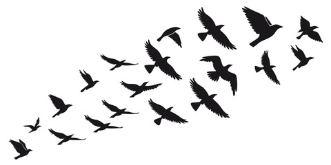 black bird silhouettes