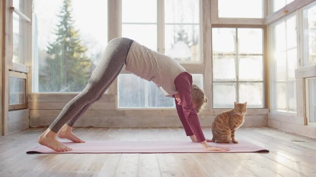Woman doing yoga exercise stretching hamstring with pet cats nearby in sunroom