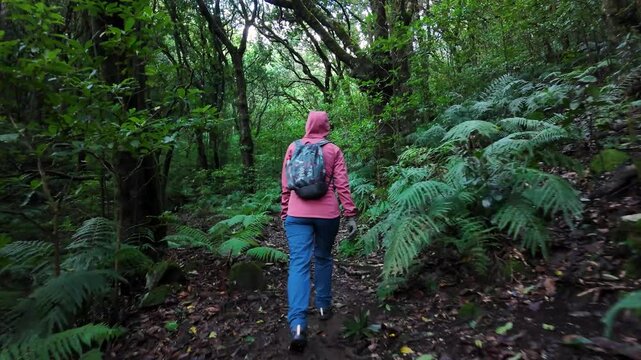 Woman Hiking on a Narrow Forest Path Surrounded by Tall Trees and Lush Vegetation in Madeira Island
