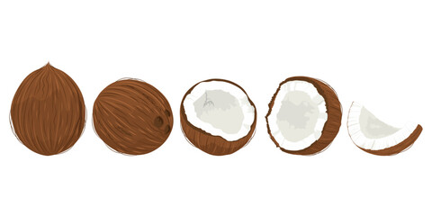 Coconut set. Hand drawn whole and broken coconuts. Coconut day 2 September.	