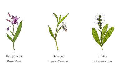 Collection of edible and medicinal plants