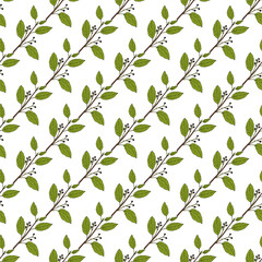 Seamless pattern with hand drawn Camphor tree (Camphora officinarum), edible and medicinal plant
