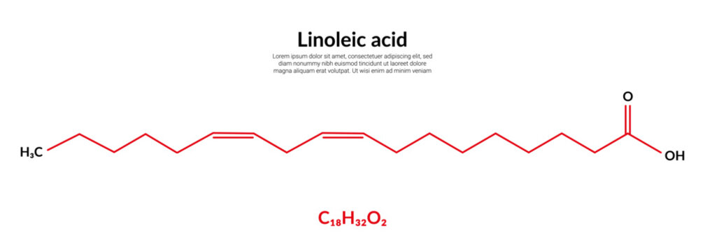 Linoleic acid (LA) molecular structure formula, suitable for education or chemistry science content. Vector illustration