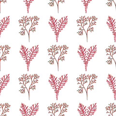 Seamless pattern with hand drawn seaweed, corallina officinalis and Irish moss. Vector illustration