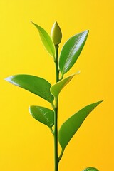 Fototapeta premium Emerging shoot on vibrant yellow backdrop, a symbol of new beginnings