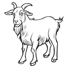 Hand-drawn Goat Illustration - Black and White Line Art