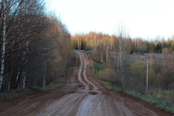 Dirt road in the spring forest