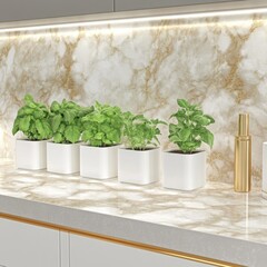 Botanical image of cultivated plants thriving in a greenhouse environment.
