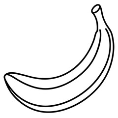 Elegant Banana Line Art