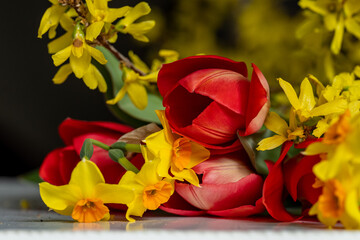 plantes et fleurs de printemps