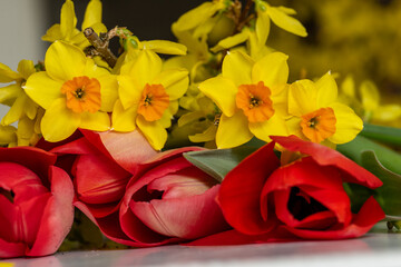 plantes et fleurs de printemps