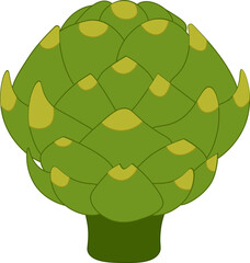 Flat artichoke vector Illustration. Green vegetable on a white background. Healthy Organic vegetarian food. Realistic fresh French artichoke head. Fall harvest. Thanksgiving day.
