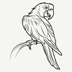 Hand-drawn Parrot Illustration - Black and White Line Art