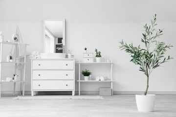 Interior of stylish modern bathroom with commode and decorative olive tree