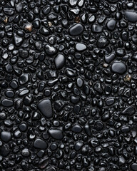 Glossy, black pebbles create a textured ground surface with variation in size