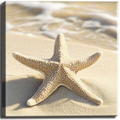 Starfish encounter on sandy beach nature photography calm coastal environment close-up perspective