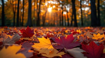 A wallpaper filled with autumn leaves in rich red, yellow, and orange hues, scattered across a forest floor with soft sunlight filtering through