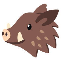 Boar
