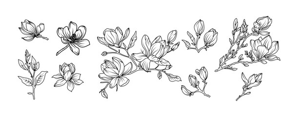 Magnolia flower arrangement line art on white background. Silhouette magnolia botanical hand drawn element for wedding, invitation frame design, vector illustration © abcvector