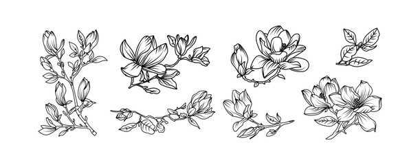 Magnolia flower arrangement line art on white background. Silhouette magnolia botanical hand drawn element for wedding, invitation frame design, vector illustration