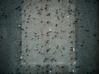 Abstraktion an einer alten Pinwand