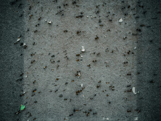 Abstraktion an einer alten Pinwand