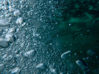 bubbles, bubble, water, underwater, sea, air, deep, undersea, under, background, wave, liquid,...