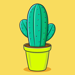 cactus in a pot