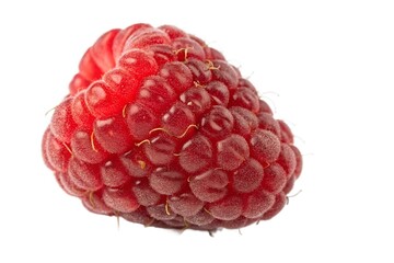 Close-up of a Single Raspberry