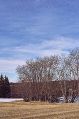 Fototapeta premium Landscape with a pond of Kronborgsetergrenda at rural Toten in March 2025.