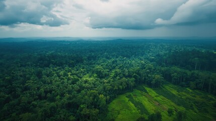 An AI powered drone monitoring deforestation and providing real time data for environmental conservation efforts, Environmental technology style, photo of