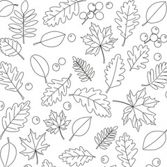 autumn leaves and berries sketch 