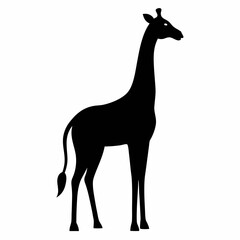 giraffe vector illustration
