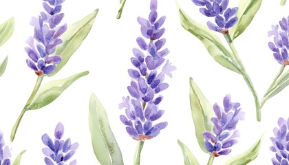 Fototapeta premium A watercolor-style illustration of lavender flowers in purple with green leaves, scattered on a white background, soft and natural composition, fresh and delicate atmosphere