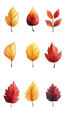 Obraz premium Autumn Leaves Illustration Collection