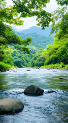Serene river flowing through lush green tropical forest