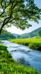 Serene river flowing through lush green valley under a tree