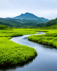 Serene river meandering through lush green valley towards distant mountain