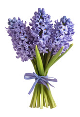 Fototapeta premium PNG Bouquet of Hyacinths hyacinth bouquet flowers.