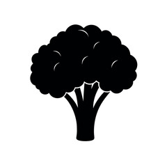 broccoli isolated on white