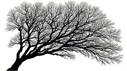 Obraz premium Skeletal Silhouette of a Leafless Tree Branches Against a Plain White Background
