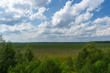 The valley of the swamp from above
