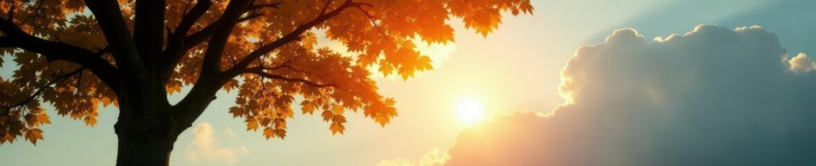 Fototapeta premium Tree with sunlit leafy branches against gray sky, sunlit, cloud, leafy