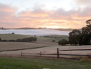 Obraz premium Sunrise Mist Over Rural Fields.
