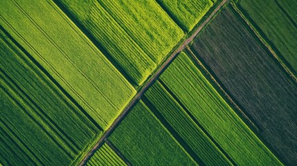 An AI powered system analyzing agricultural drone imagery for crop health optimization, farm field with real-time crop health data from drones and AI analytics, Agricultural technology style